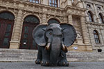 Wien 3D - Innere Stadt - Der große Elefant