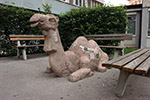 Wien 3D - Leopoldstadt - Kamel
